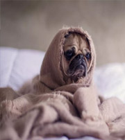 怀化有这样的手机号码，留不住钱，你中枪了吗？