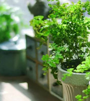 怀化专属于你的开运指南，助你鸿运当头福满身！