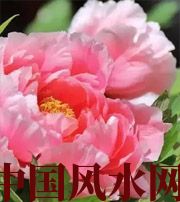 怀化预示你财运上升，姻缘可成的梦境，快来看看吧！