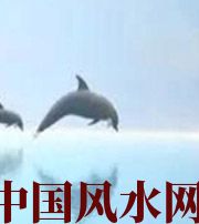 怀化做梦梦到这些，是要富裕的征兆！