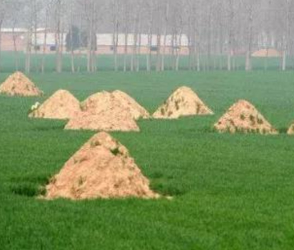 怀化阴宅风水：形峦三十六绝